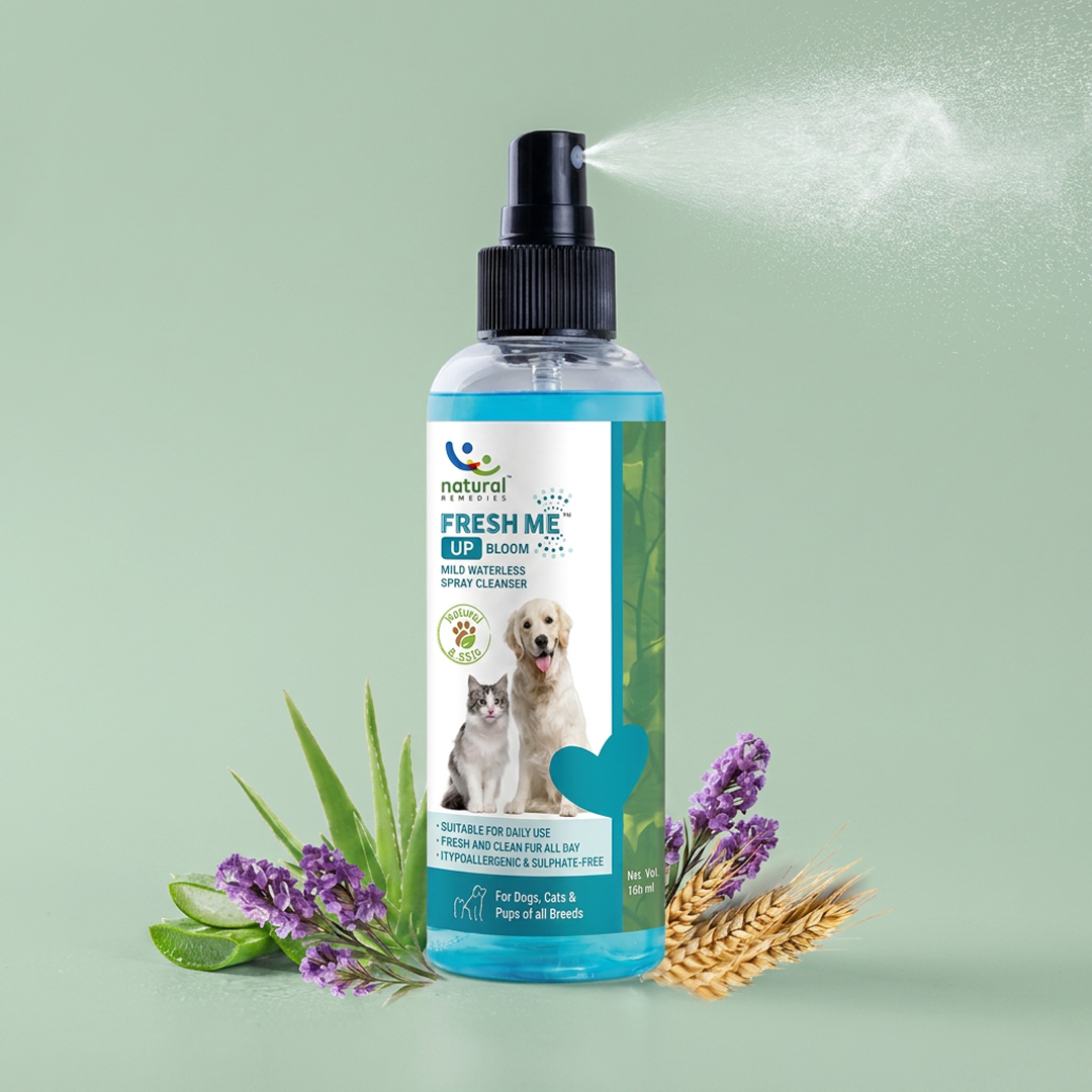 Natural Remedies Fresh Me Up Bloom Dry Shampoo for Dogs and Cats Rewards Both-Grooming Supplies Natural Remedies 160mL