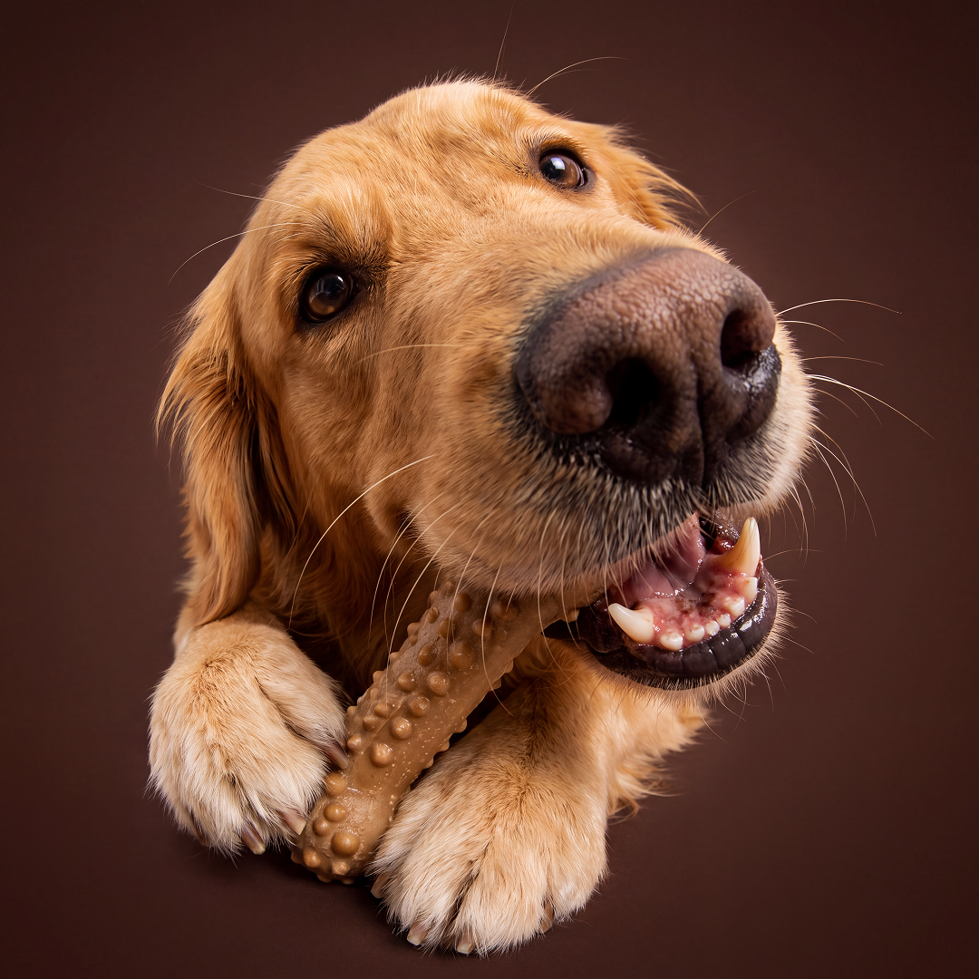 Barkbutler x Fofos Woodplay Brush Bone Toy for Dogs | For Chewers (Brown) Dogs-Toys Barkbutler 17x7cm