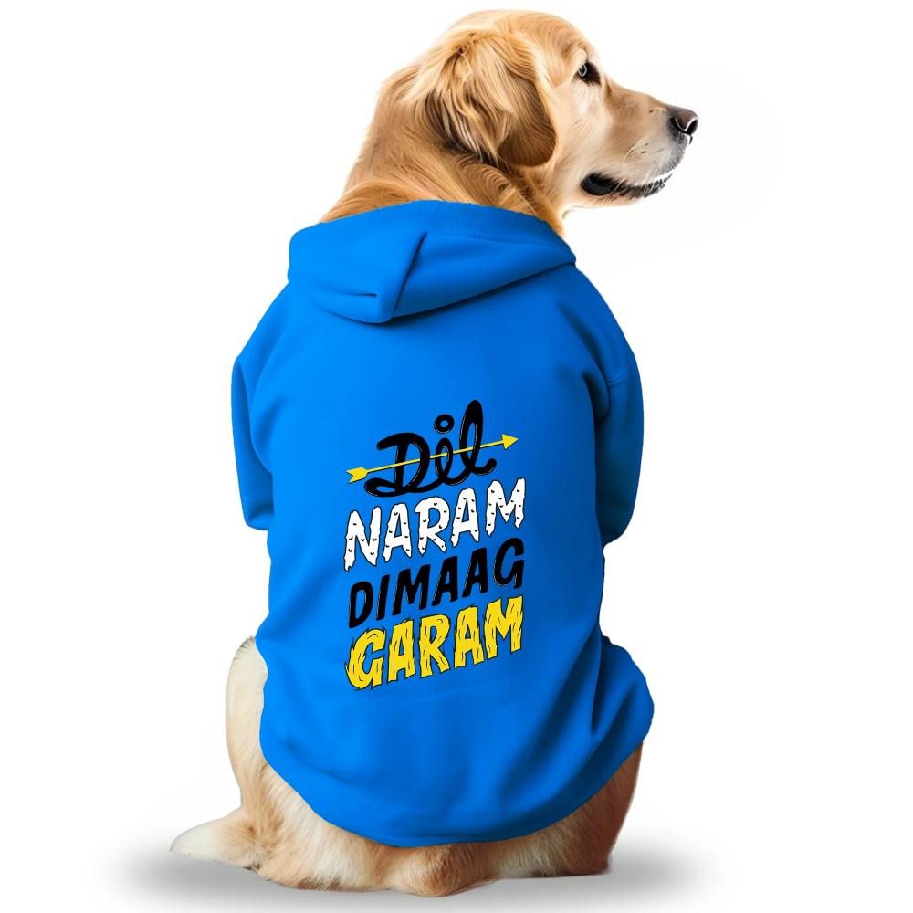 Pawsindia Dil Naram Dimag Garam Hoodie for Dogs (Blue) Dogs-Clothing & Accessories Pawsindia Dropship XS