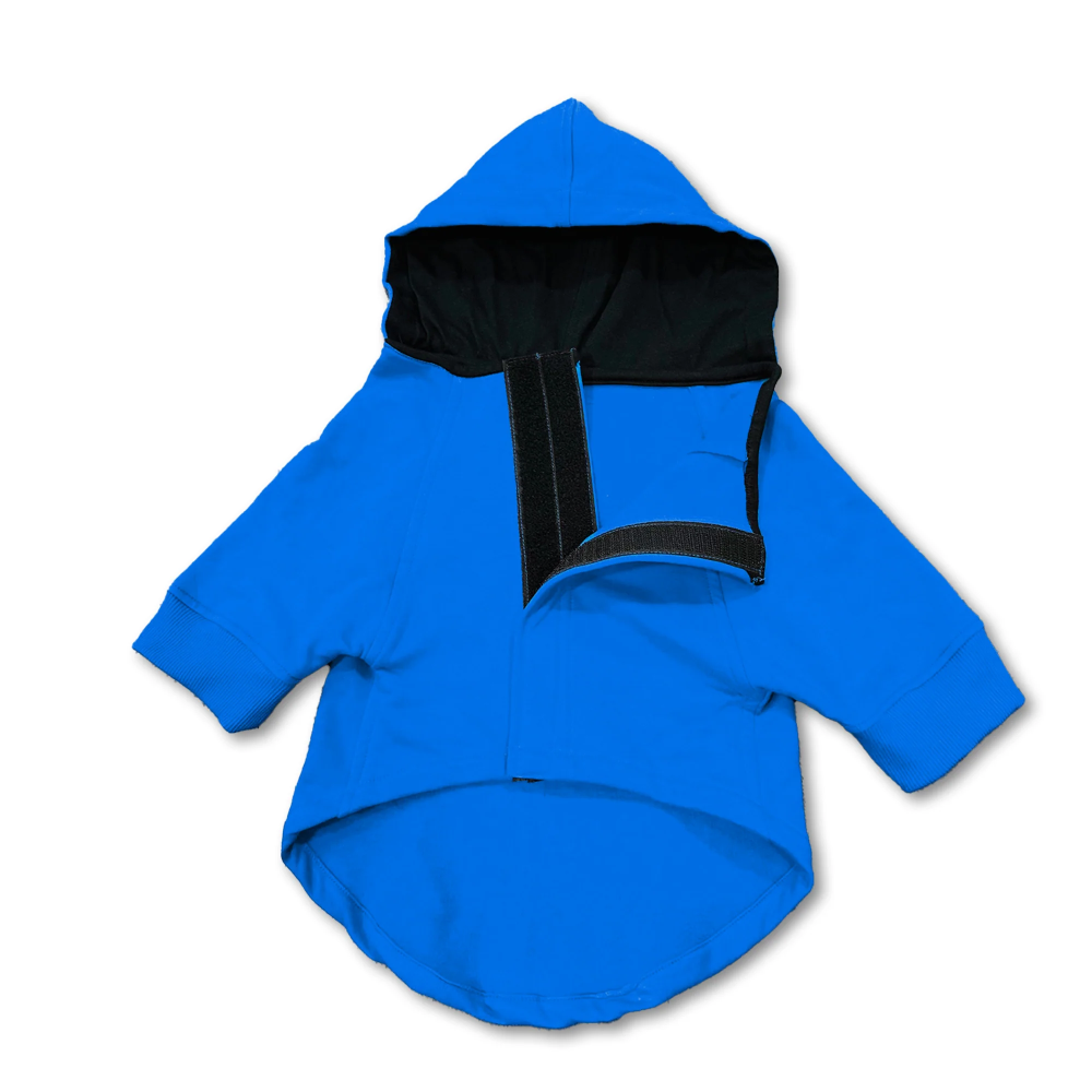Pawsindia Dil Naram Dimag Garam Hoodie for Dogs (Blue) Dogs-Clothing & Accessories Pawsindia Dropship
