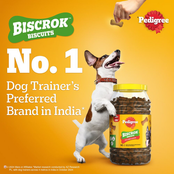 Pedigree Lamb Flavour (4+ Months) Biscrok Biscuits Jar Treats for Dogs