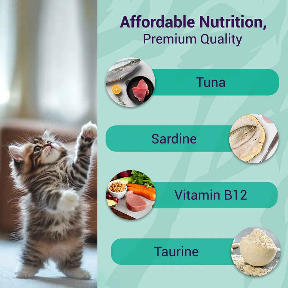 Purrfeto Oceanfish Recipe in Jelly Kitten Cat Wet Food Cats-Wet Food Purrfeto