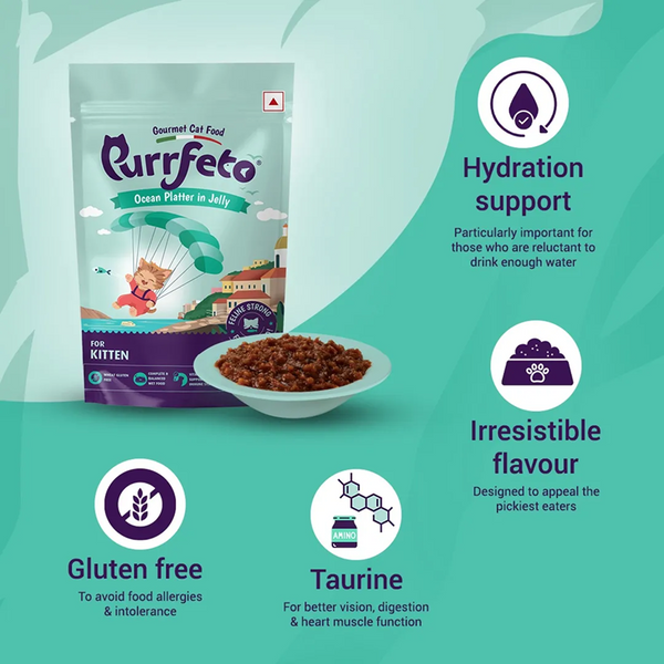 Purrfeto Oceanfish Recipe in Jelly Kitten Cat Wet Food