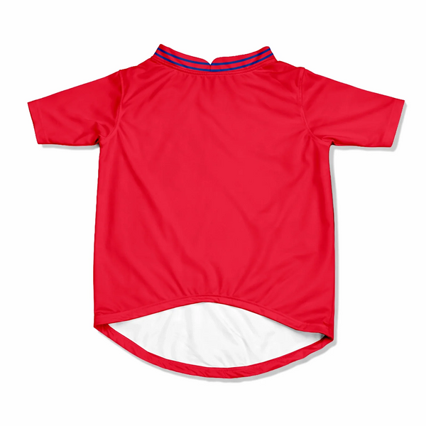 Pawsindia Lucknow Super Pups T20 Pets Premier League Jersey for Cats | Indian Pet League