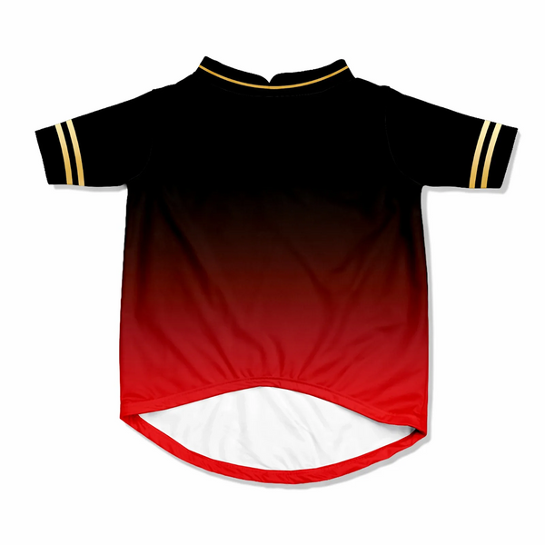 Pawsindia Royal Pups Of Bangalore T20 Pets Premier League Jersey for Cats | Indian Pet League