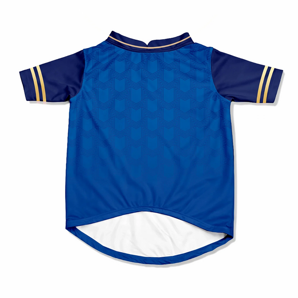 Pawsindia Mumbai Indies T20 Pets Premier League Jersey for Cats | Indian Pet League