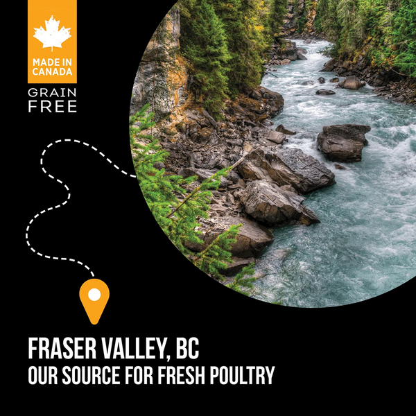 Nutrience SubZero Fraser Valley High Protien Cat Dry Food