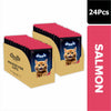 Drools Salmon Mousse Adult Cat Wet Food Cats-Wet Food Drools 24x80g