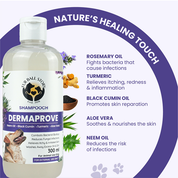 FurBall Story Shampooch Dermaprove Shampoo for Dogs
