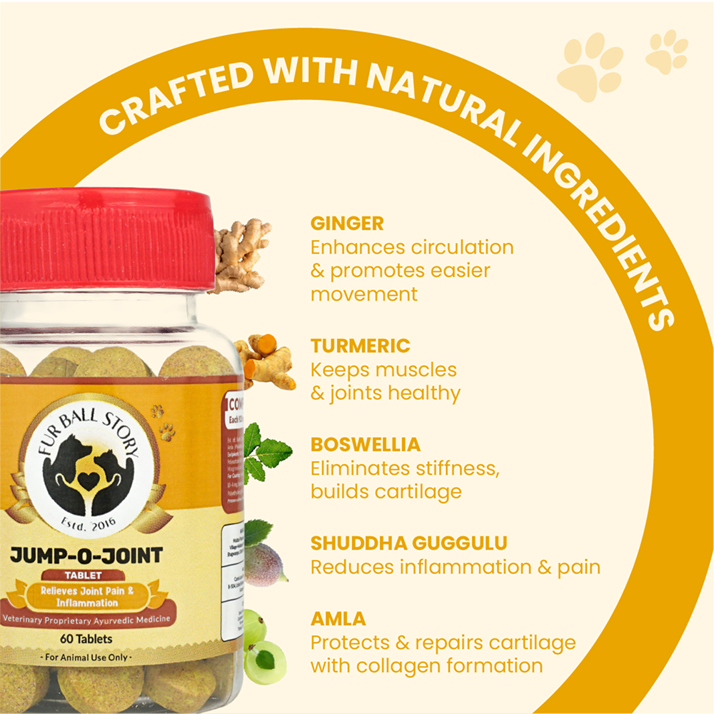 FurBall Story Jump O Joint Care Tablets and Oil for Dogs and Cats Combo Both-Health & Wellness Furball Story