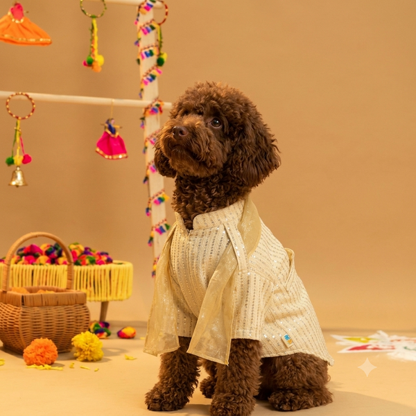 15 Furries Furwali Festival Kurta with Dupatta for Dogs (Ivory White)