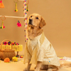15 Furries Furwali Festival Kurta with Dupatta for Dogs (Ivory White) Dogs-Clothing & Accessories 15 Furries Dropship XXS