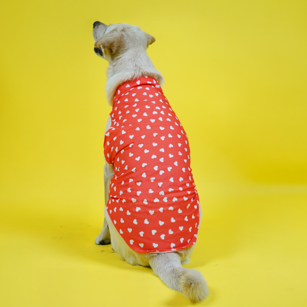 Skatrs All Hearts Printed Shirt for Dogs and Cats (Red) Both-Clothing & Accessories Skatrs