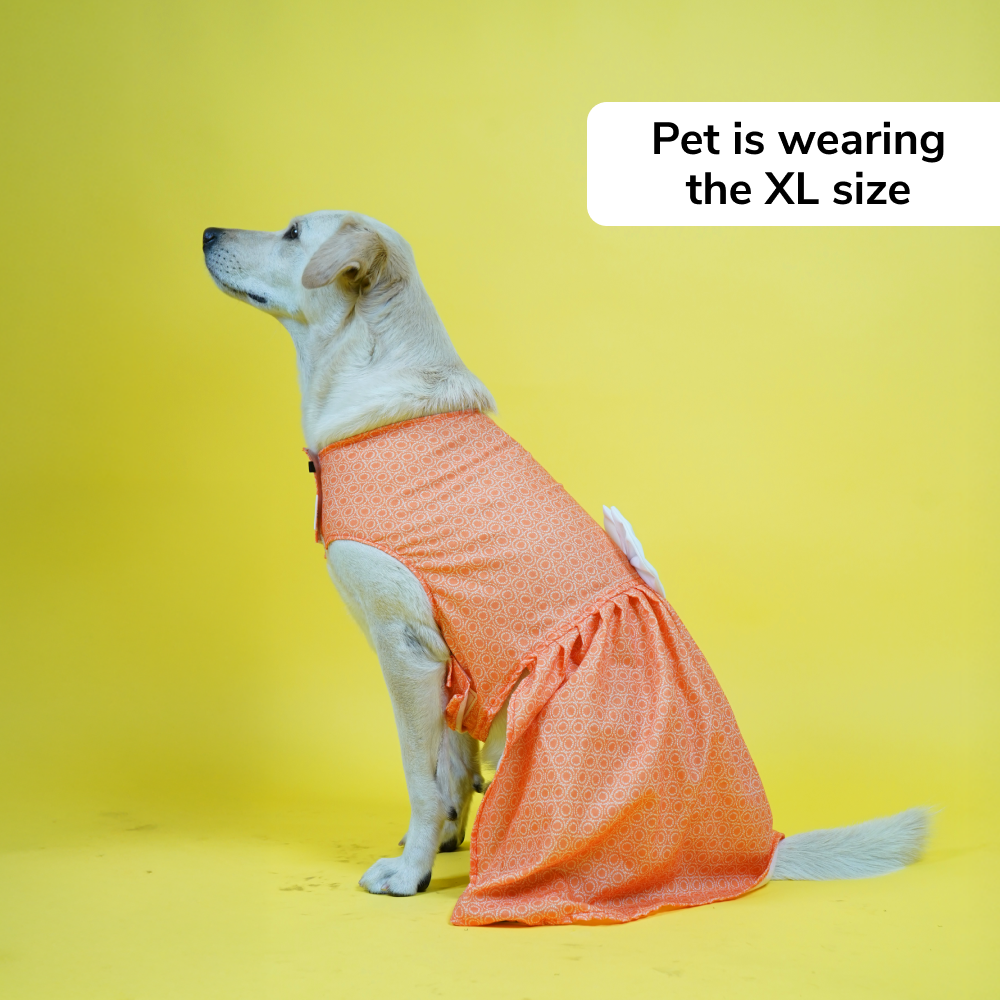 Skatrs Marigold Mandala Printed Dress for Dogs and Cats (Orange) Both-Clothing & Accessories Skatrs