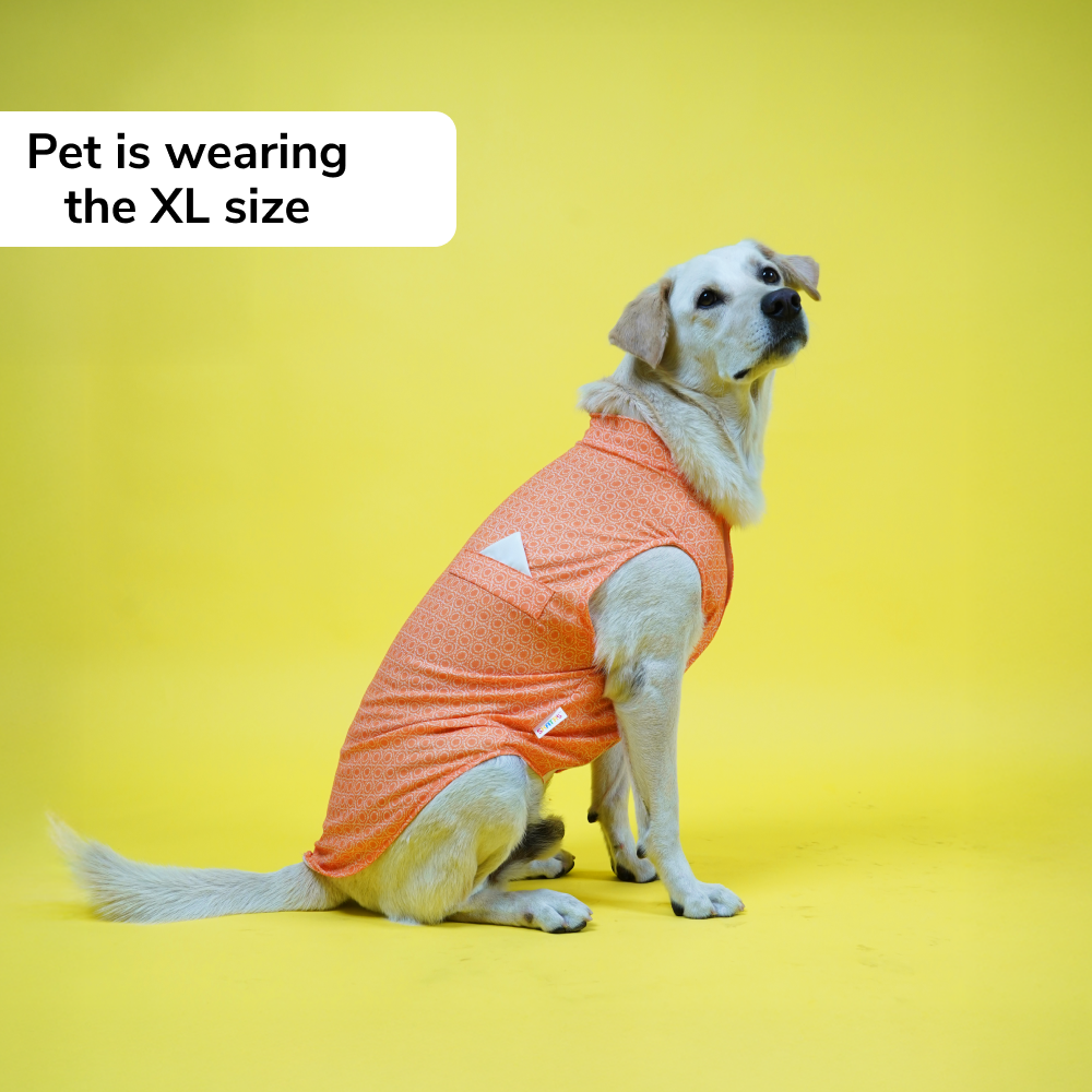 Skatrs Marigold Mandala Printed Kurta for Dogs and Cats (Orange) Both-Clothing & Accessories Skatrs