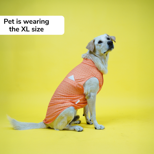 Skatrs Marigold Mandala Printed Kurta for Dogs and Cats (Orange)