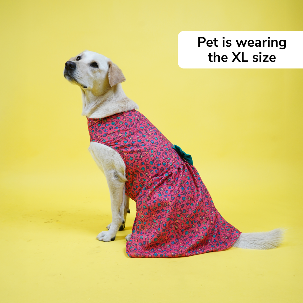 Skatrs Bold Fuchsia Printed Dress for Dogs and Cats (Pink) Both-Clothing & Accessories Skatrs