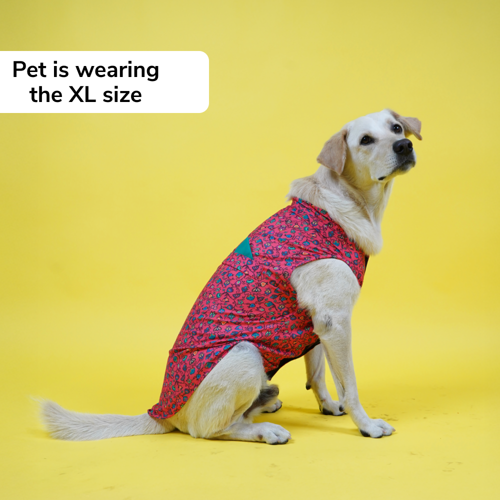 Skatrs Bold Fuchsia Printed Kurta for Dogs and Cats (Pink) Both-Clothing & Accessories Skatrs