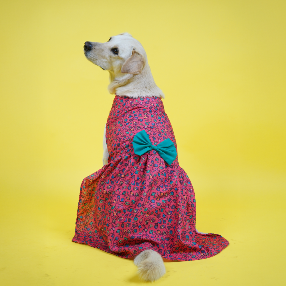 Skatrs Bold Fuchsia Printed Dress for Dogs and Cats (Pink) Both-Clothing & Accessories Skatrs XS