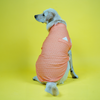 Skatrs Marigold Mandala Printed Kurta for Dogs and Cats (Orange) Both-Clothing & Accessories Skatrs L