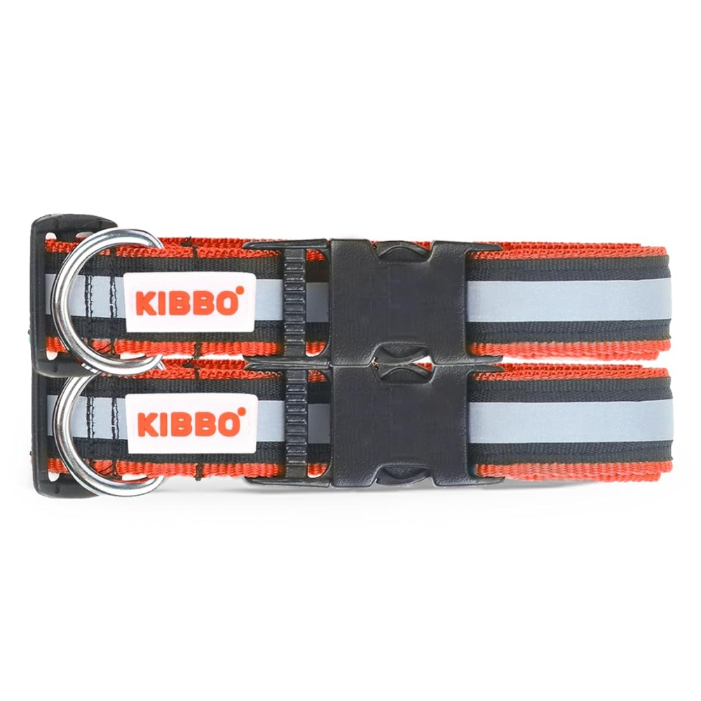 Kibbo Nylon Collar with Adjustable Buckle and D-Ring (Red/Pack of 2)
