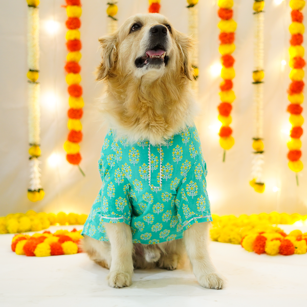 Pets Way Sanganeri Printed Kurta for Dogs (Teal)