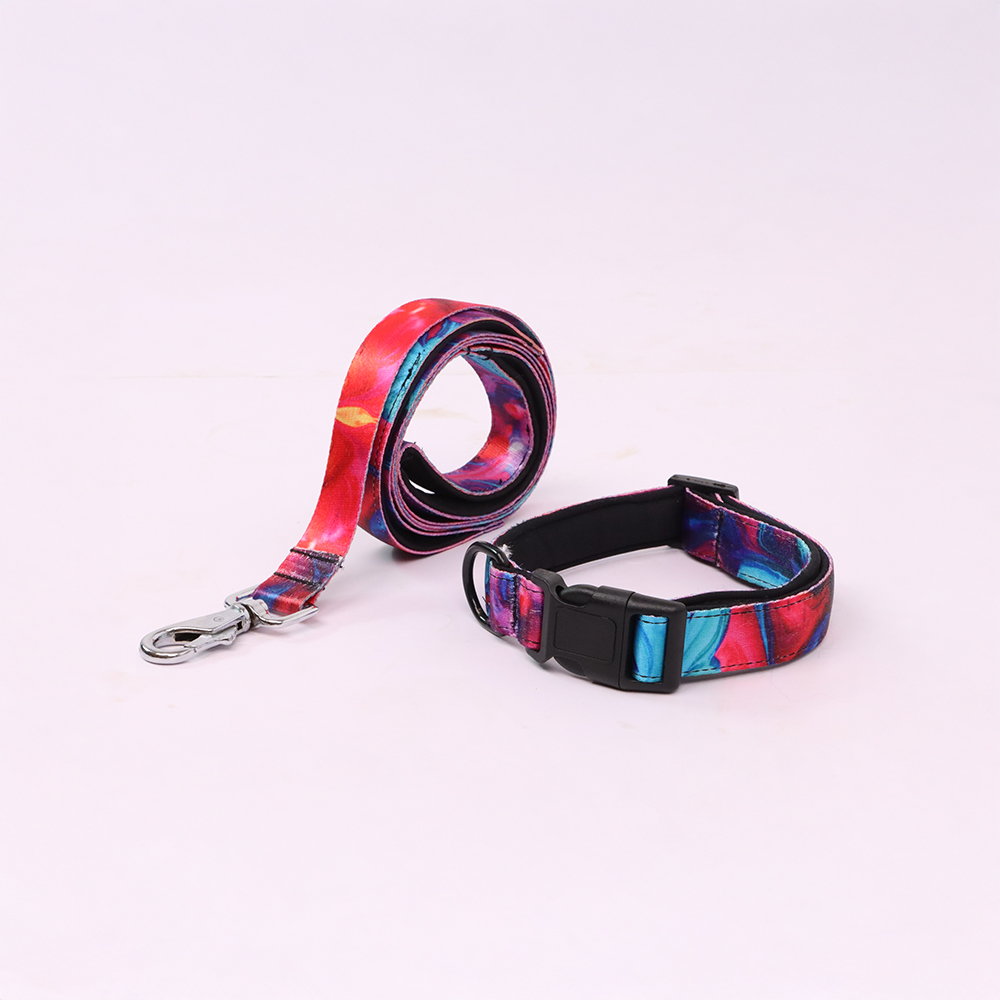 Skatrs Liquid Art Leash for Dogs and Cats Both-Collar, Leashes, harnesses Skatrs