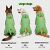 Barkbutler x Fofos Four Leg Dinosaur Raincoat for Dogs (Green) Dogs-Clothing & Accessories Barkbutler