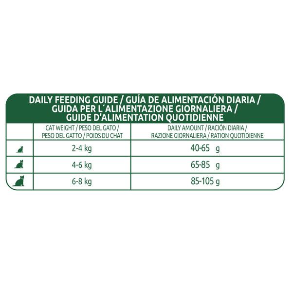 Affinity Libra Adult Cat Salmon Dry Food