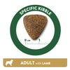 Affinity Libra Adult Dog Lamb Dry Food Dogs- Dry Food Affinity Petcare