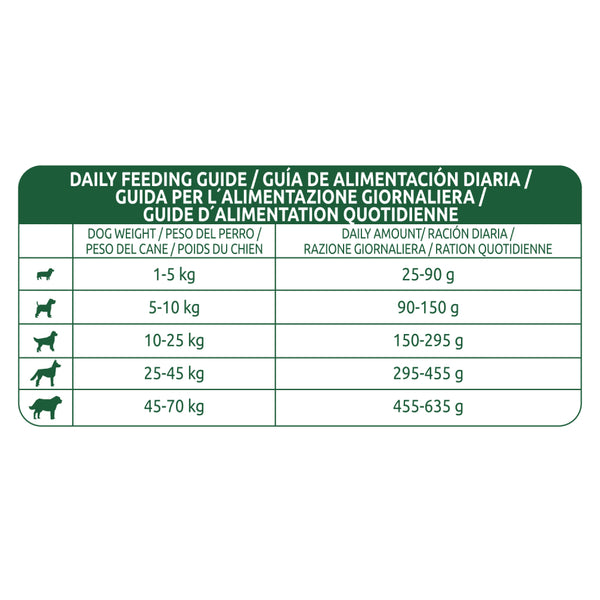Affinity Libra Adult Dog Salmon Dry Food