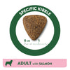 Affinity Libra Adult Dog Salmon Dry Food Dogs- Dry Food Affinity Petcare