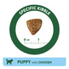 Affinity Libra Puppy Chicken Dry Food Dogs- Dry Food Affinity Petcare