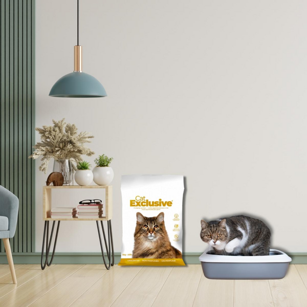 Intersand Cat&