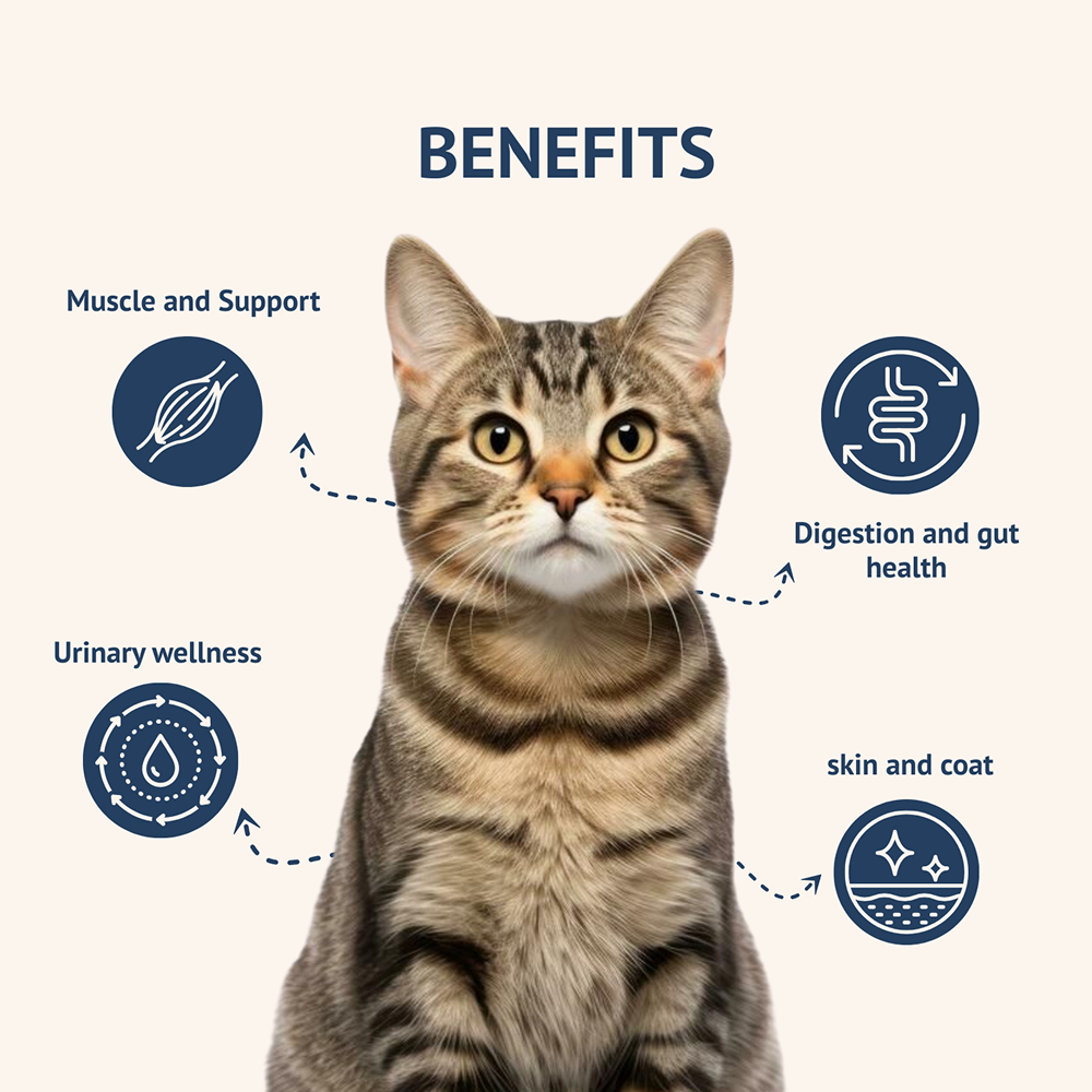 Goofy Tails Mackerel & Chicken Cat Meals Cats-Treats & Others Goofy Tails