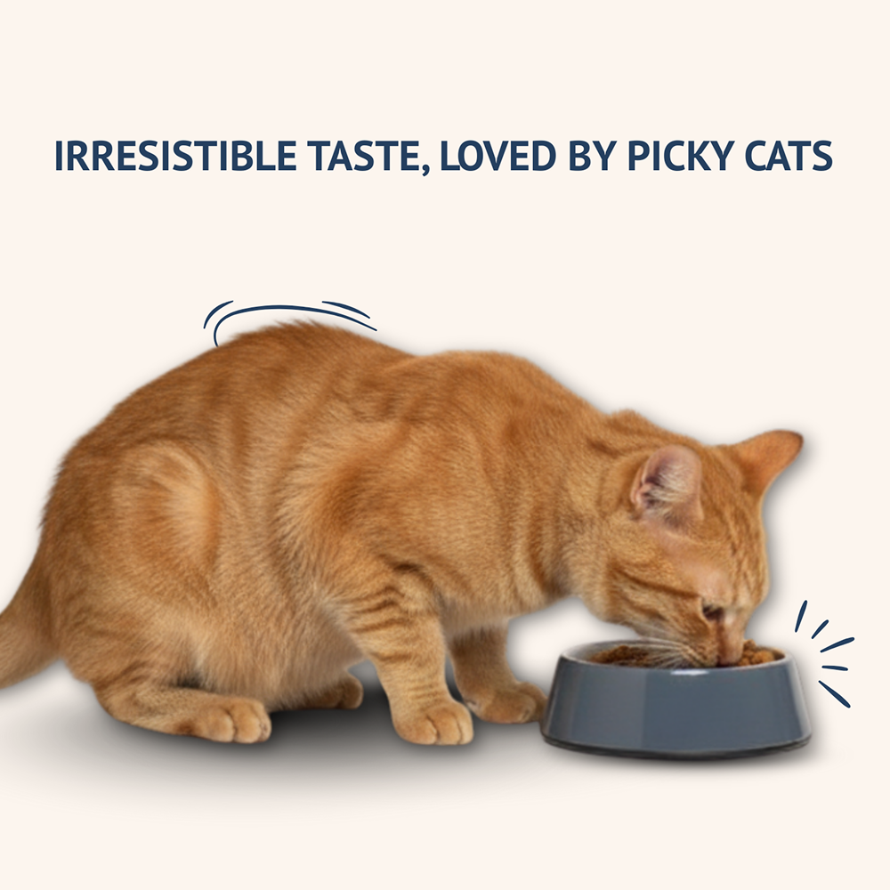 Goofy Tails Mackerel & Chicken Cat Meals Cats-Treats & Others Goofy Tails