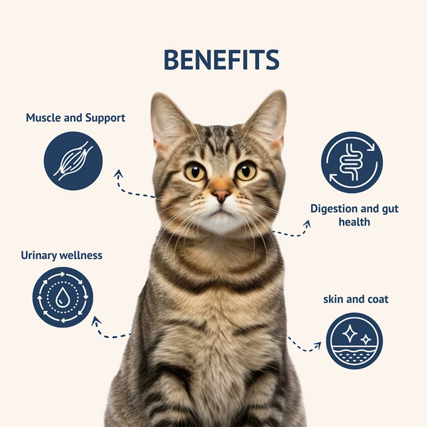 Goofy Tails Mackerel & Chicken Cat Meals