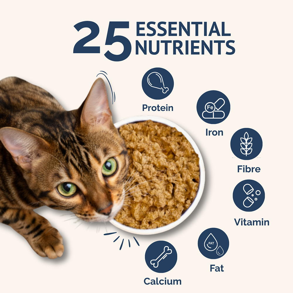 Goofy Tails Mackerel & Chicken Cat Meals Cats-Treats & Others Goofy Tails