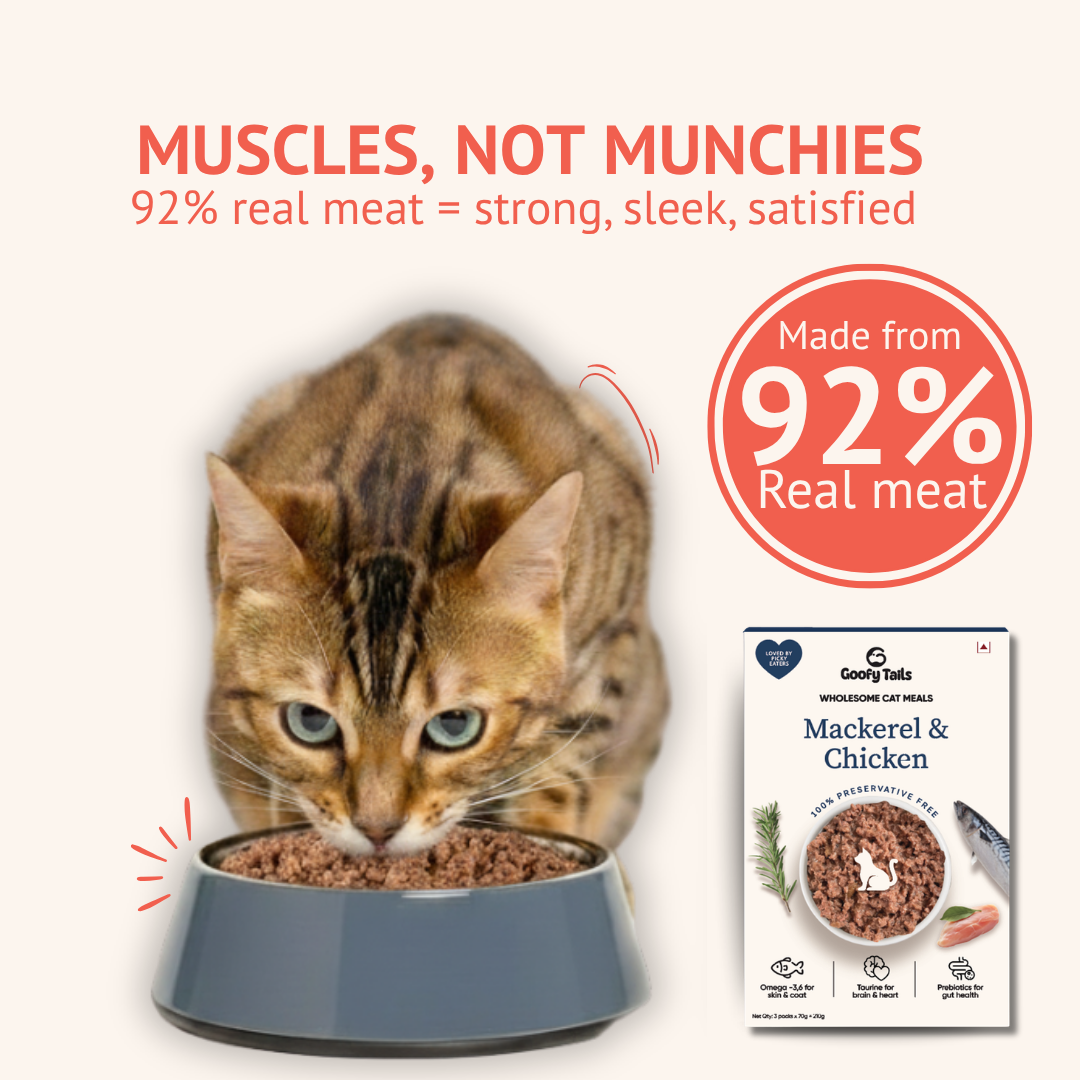 Goofy Tails Mackerel & Chicken Cat Wet Food Cats-Wet Food Goofy Tails