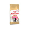 Royal Canin Persian Kitten Food Dry Cat Food Cats- Dry food Royal Canin