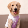 Pets Way Cozyquilt Winter Jacket for Dogs (Mauve) Dogs-Clothing & Accessories Pets Way Dropship