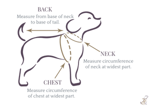 The Papaw Cartel Brocade Koti Kurta for Dog (Peach/Pink & Gold)