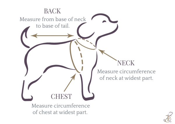 The Papaw Cartel Double Layered Gotapatti Ethnic Frock for Dogs (Purple)