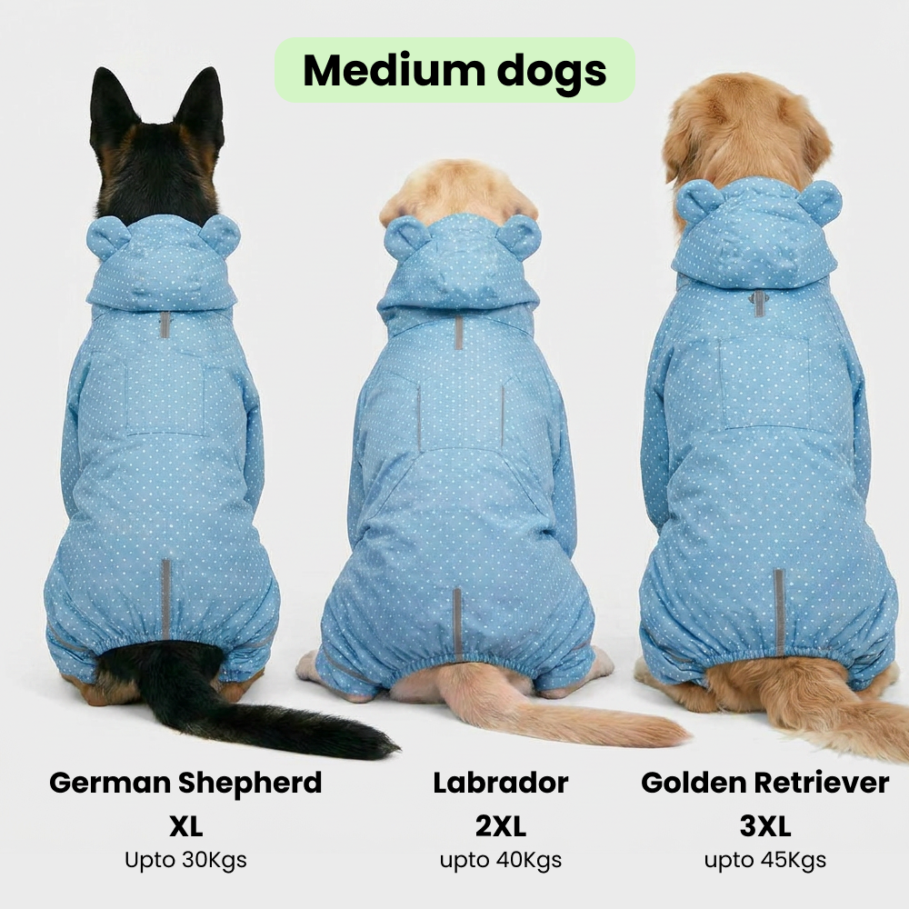 Skatrs Drizzle Dazzle Raincoat for Dogs (Light Blue) Dogs-Clothing & Accessories Skatrs