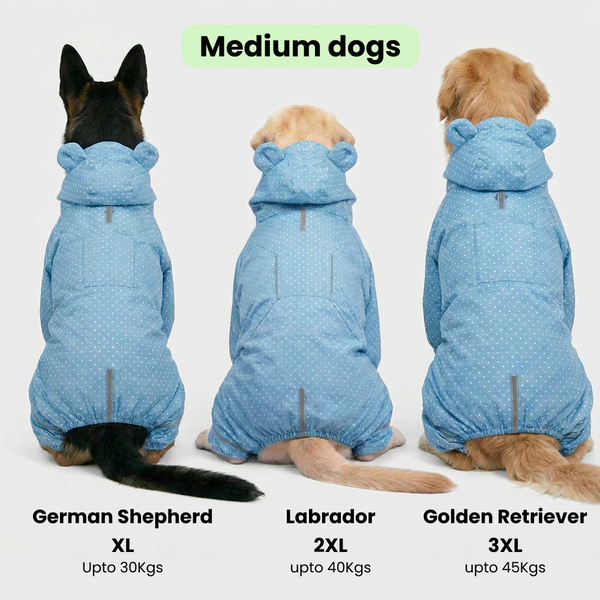 Skatrs Drizzle Dazzle Raincoat for Dogs (Light Blue)
