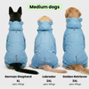 Skatrs Drizzle Dazzle Raincoat for Dogs (Light Blue) Dogs-Clothing & Accessories Skatrs