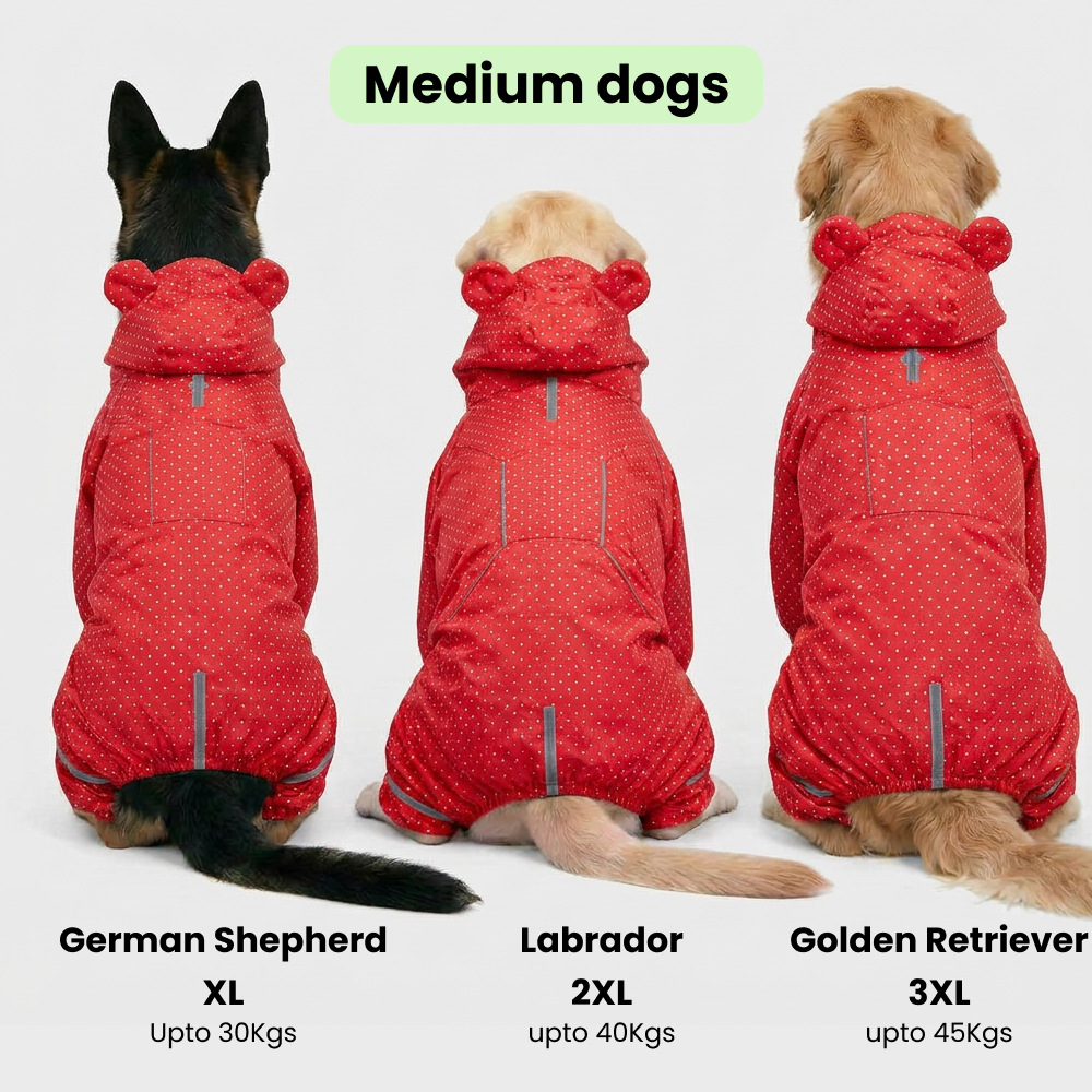 Skatrs Rain Ranger Raincoat for Dogs (Red) Dogs-Clothing & Accessories Skatrs