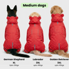 Skatrs Rain Ranger Raincoat for Dogs (Red) Dogs-Clothing & Accessories Skatrs