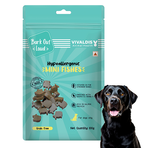 Bark Out Loud by Vivaldis Mini Fishes Grain Free & Hypoallergenic Dog Treats Sample Bark Out Loud 20g