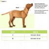 Mitag Go Anti Loss Device with Collar for Small Dogs (Black) | Android Dogs-Collar, Leashes, harnesses Mitag Dropship